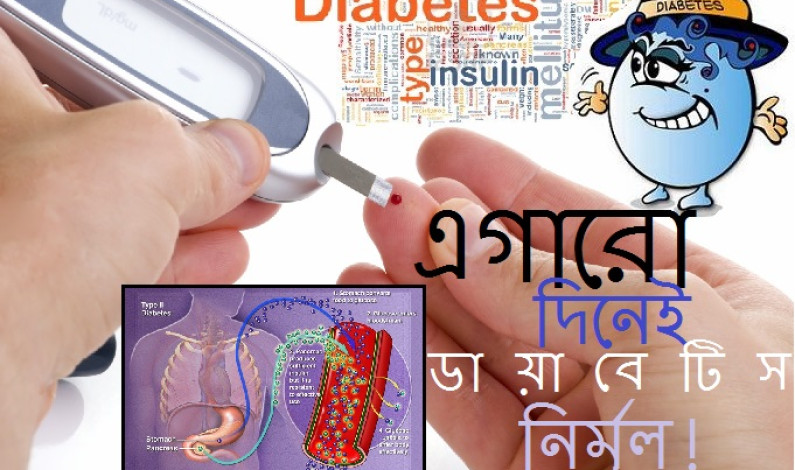 এগারো দিনেই ডাযাবেটিস নির্মূল! এগারো দিনেই ডাযাবেটিস নির্মূল!