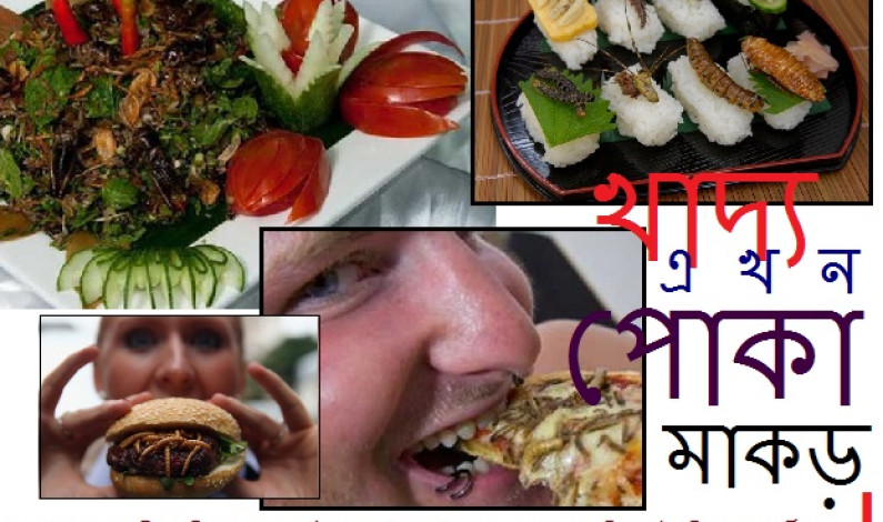 পোকামাকড়ে তৈরি ফাস্টফুড! পোকামাকড়ে তৈরি ফাস্টফুড!