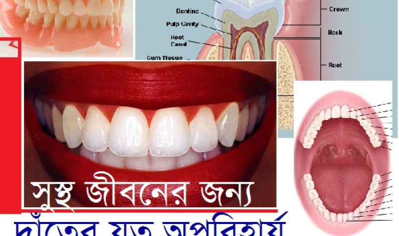 সাক্ষাৎকারে ডাঃ কাজী রুমানা শারমিন রুমি সাক্ষাৎকারে ডাঃ কাজী রুমানা শারমিন রুমি