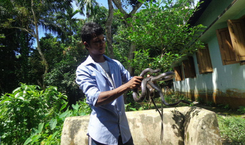 নিজ খামারে সাপ পরিচর্যা করেই দিন কাটে হিমেলের নিজ খামারে সাপ পরিচর্যা করেই দিন কাটে হিমেলের