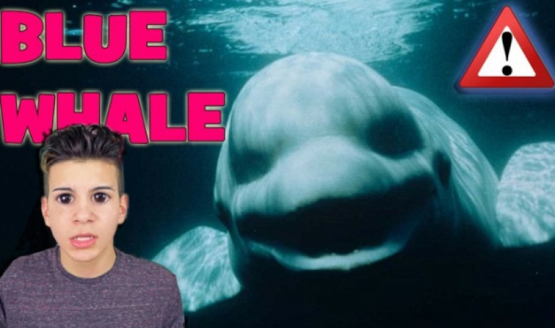 বাইরে অসৎ সঙ্গ, ঘরে ব্লু হোয়েল বাইরে অসৎ সঙ্গ, ঘরে ব্লু হোয়েল