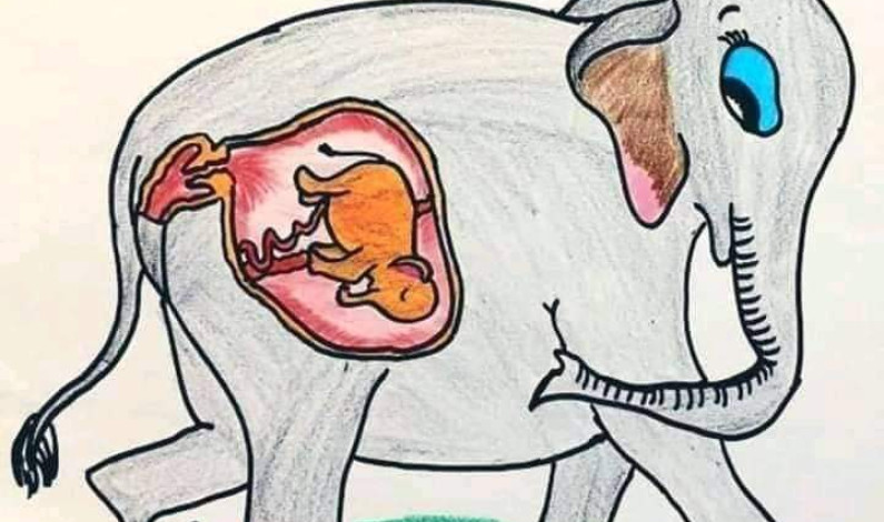 কবিতা : অব্যাক্ত কিছু কথা কবিতা : অব্যাক্ত কিছু কথা