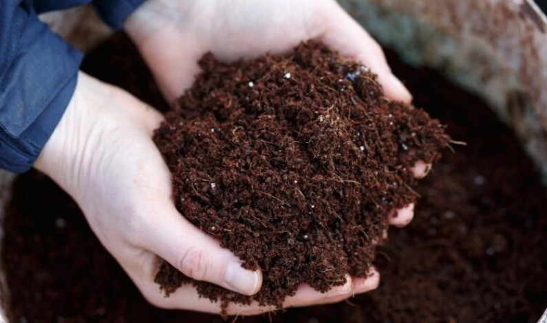 মানুষের মরদেহ পচিয়ে তৈরি হবে জৈব সার মানুষের মরদেহ পচিয়ে তৈরি হবে জৈব সার