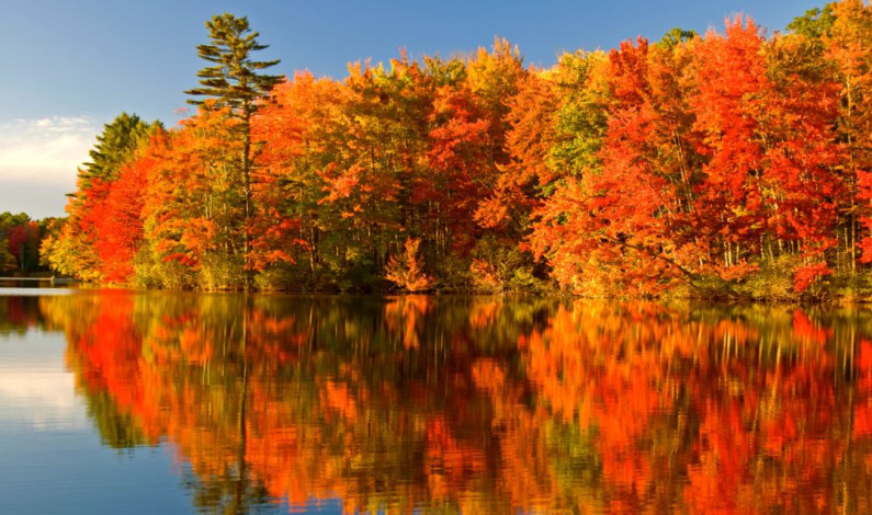 শরতের মৌসুমে কানাডা শরতের মৌসুমে কানাডা